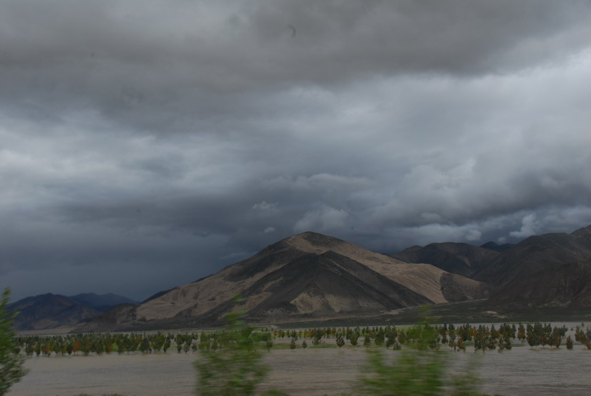 DSC_1347.JPG