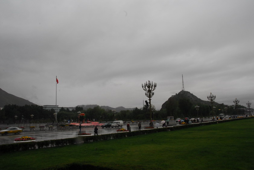 DSC_1184.JPG