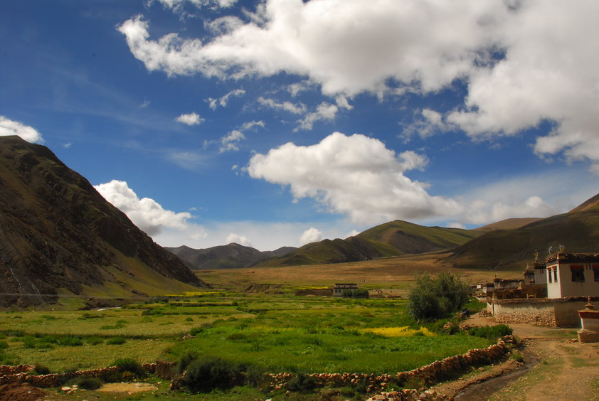 DSC_1442.JPG