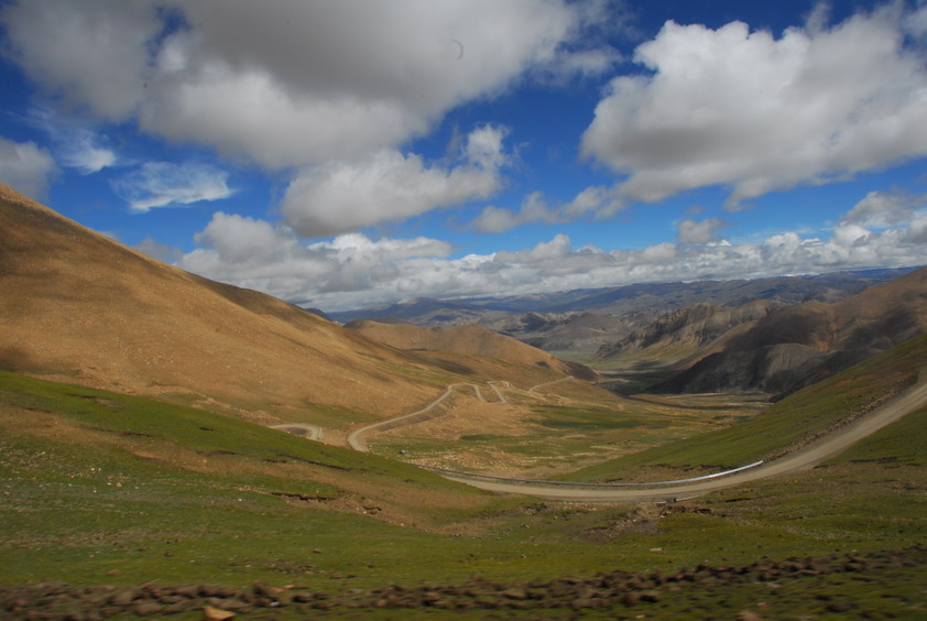 DSC_1462.JPG