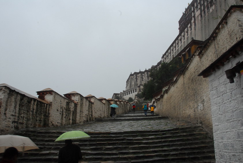 DSC_1199.JPG