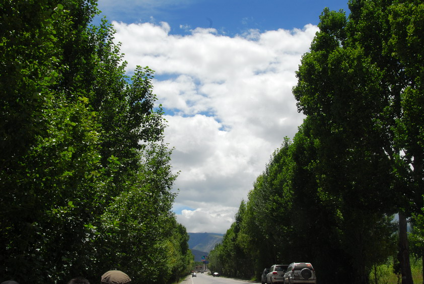 DSC_1277.JPG