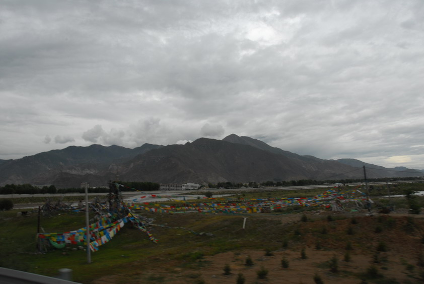 DSC_1166.JPG