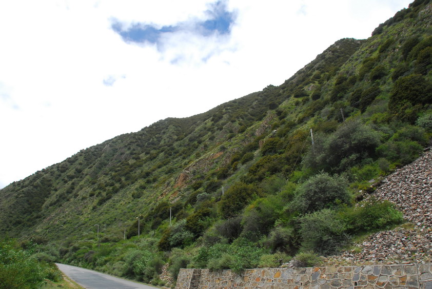 DSC_1086.JPG