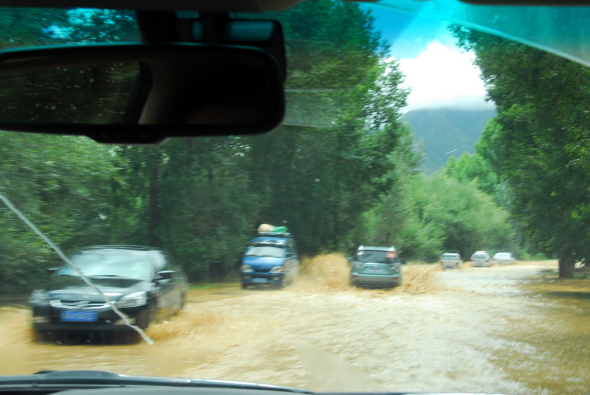 DSC_1260.JPG