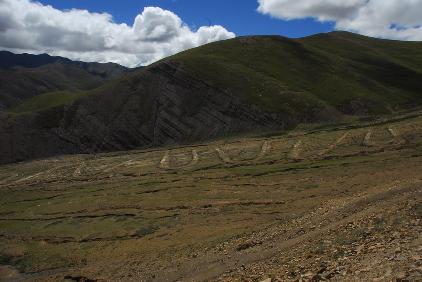 DSC_1460.JPG