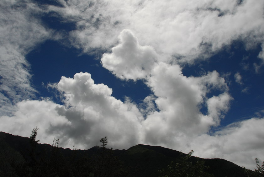 DSC_1092.JPG