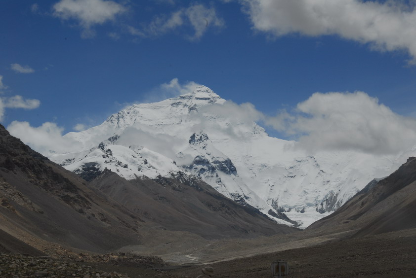 DSC_1493.JPG