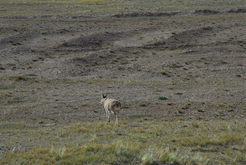 DSC_2094.JPG