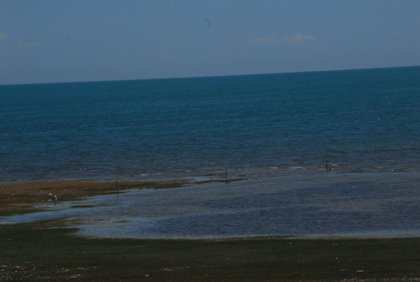 DSC_2280.JPG