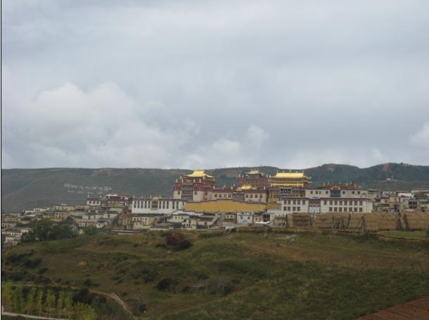 146.JPG