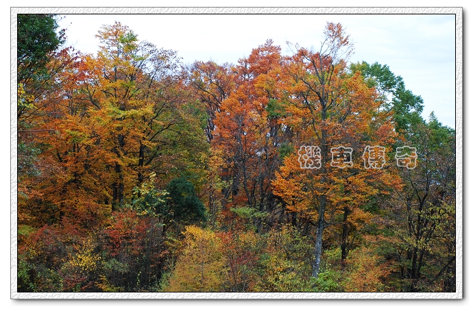 DSC_2092.jpg
