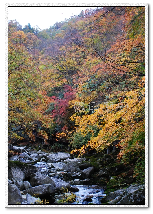 DSC_2145.jpg
