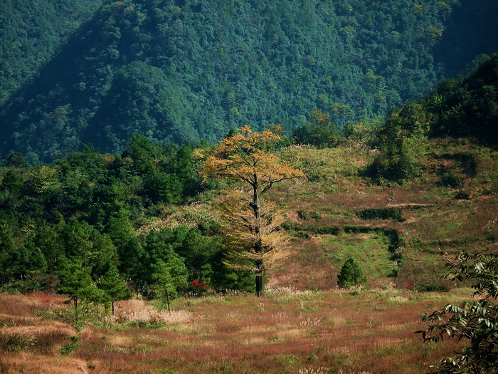 DSCF3828.JPG