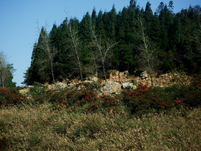 DSCF3834.JPG