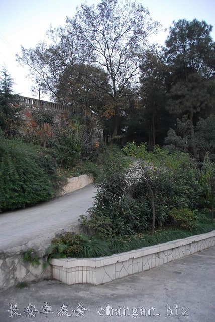 DSC_4909_СС.JPG