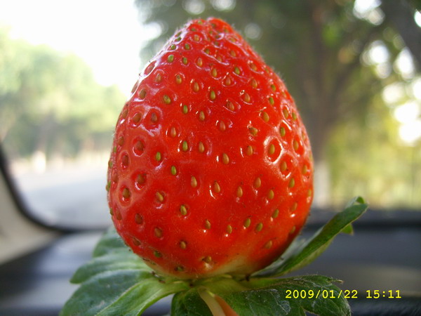 STP61912.JPG