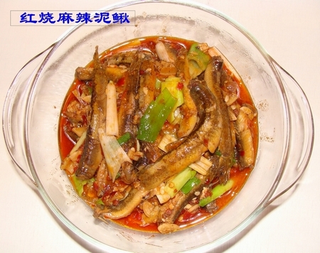 DSC02556.JPG