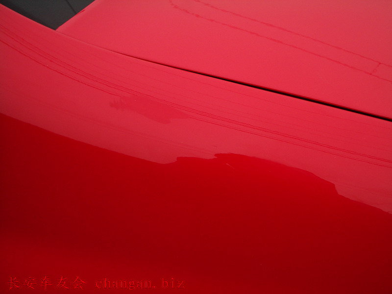 IMGP5202.JPG