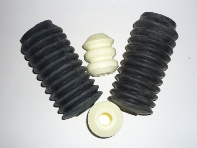 P1000660.JPG