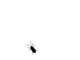 05bb94d10e540cff9ccffab589edd17e.gif