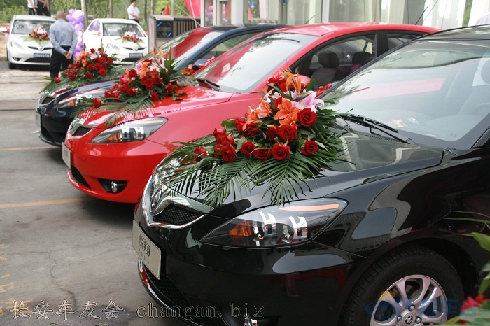 20090509_deea660f-12c4-4012-9767-6c49ef7e1fcf.jpg