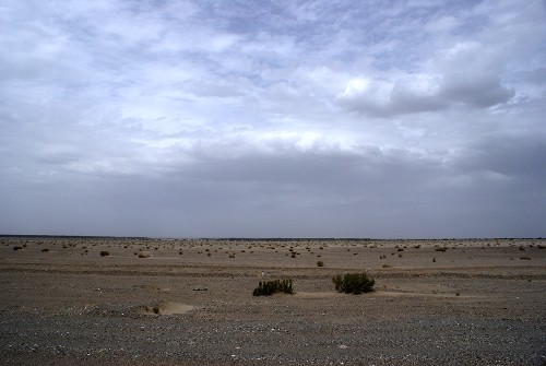 DSC00471.jpg
