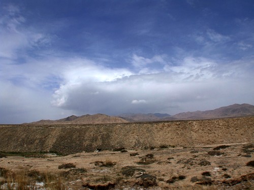DSCF1601.jpg