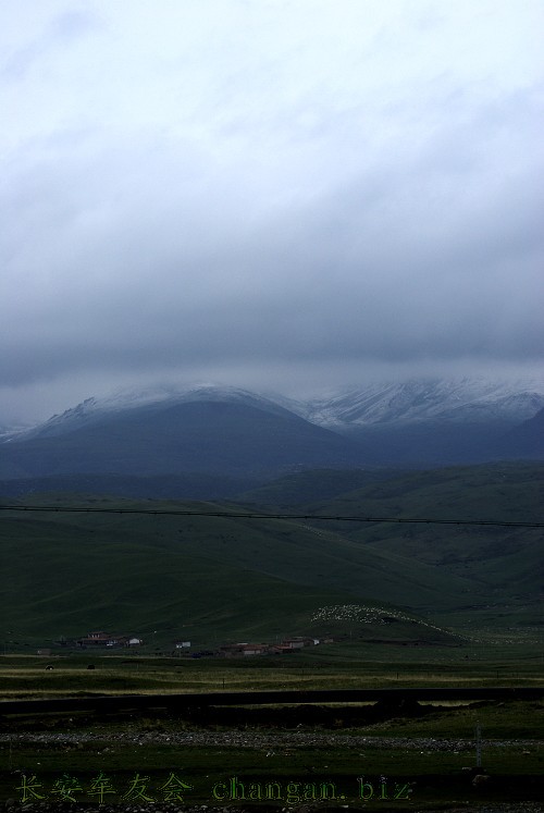 DSC00431.jpg