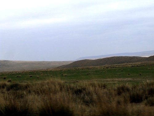 DSCF1563.jpg