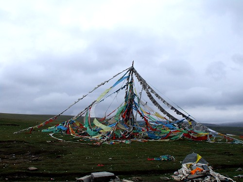 DSCF1552.jpg