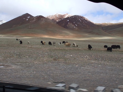 DSCF1804.JPG