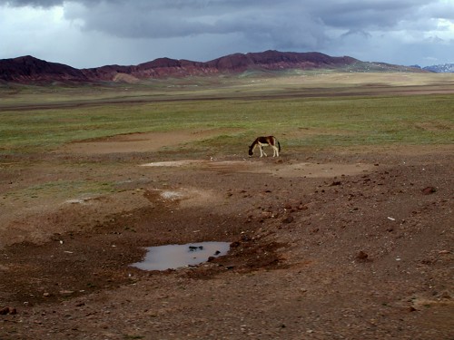 DSCF1920.JPG
