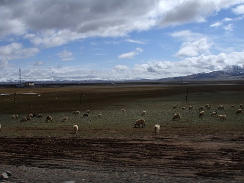 DSCF1809.JPG