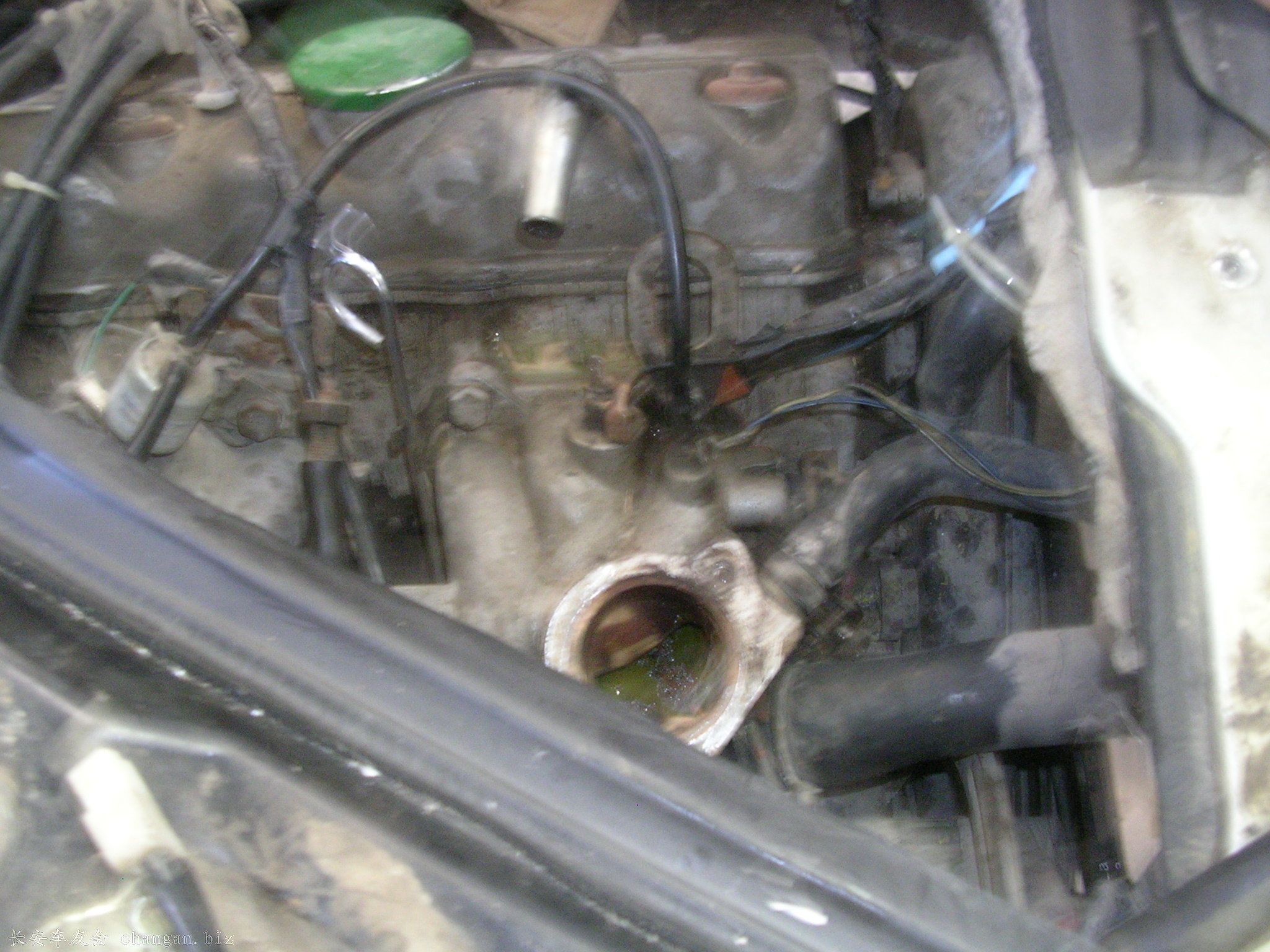 DSCN1109.JPG