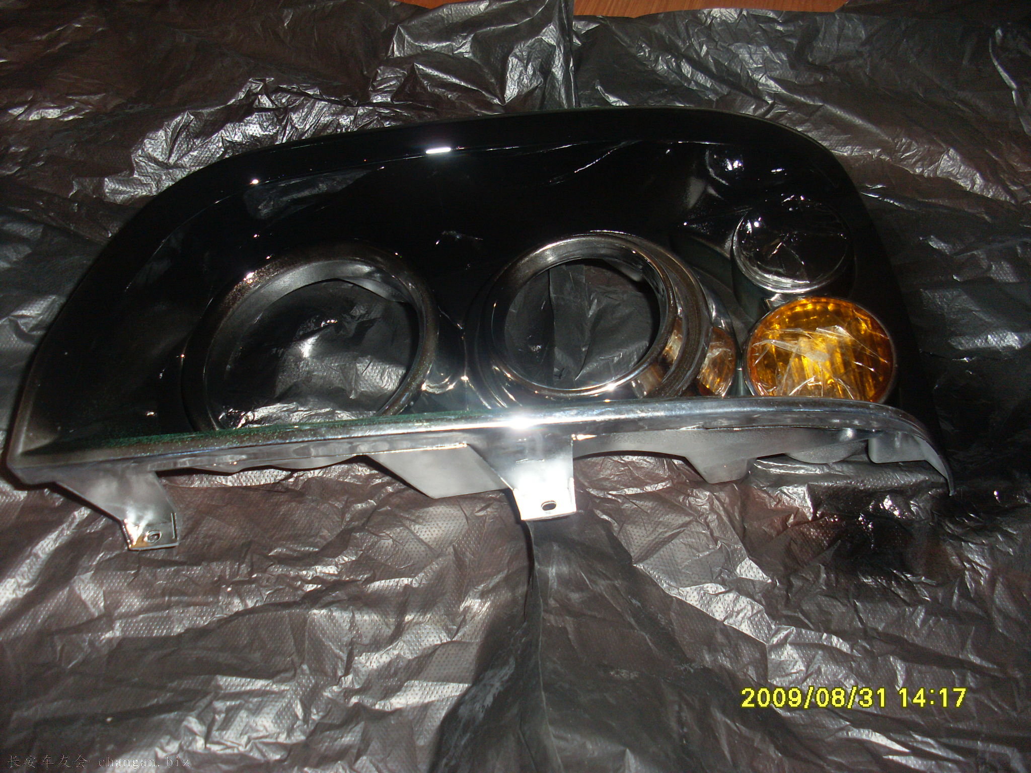 SL374398.JPG