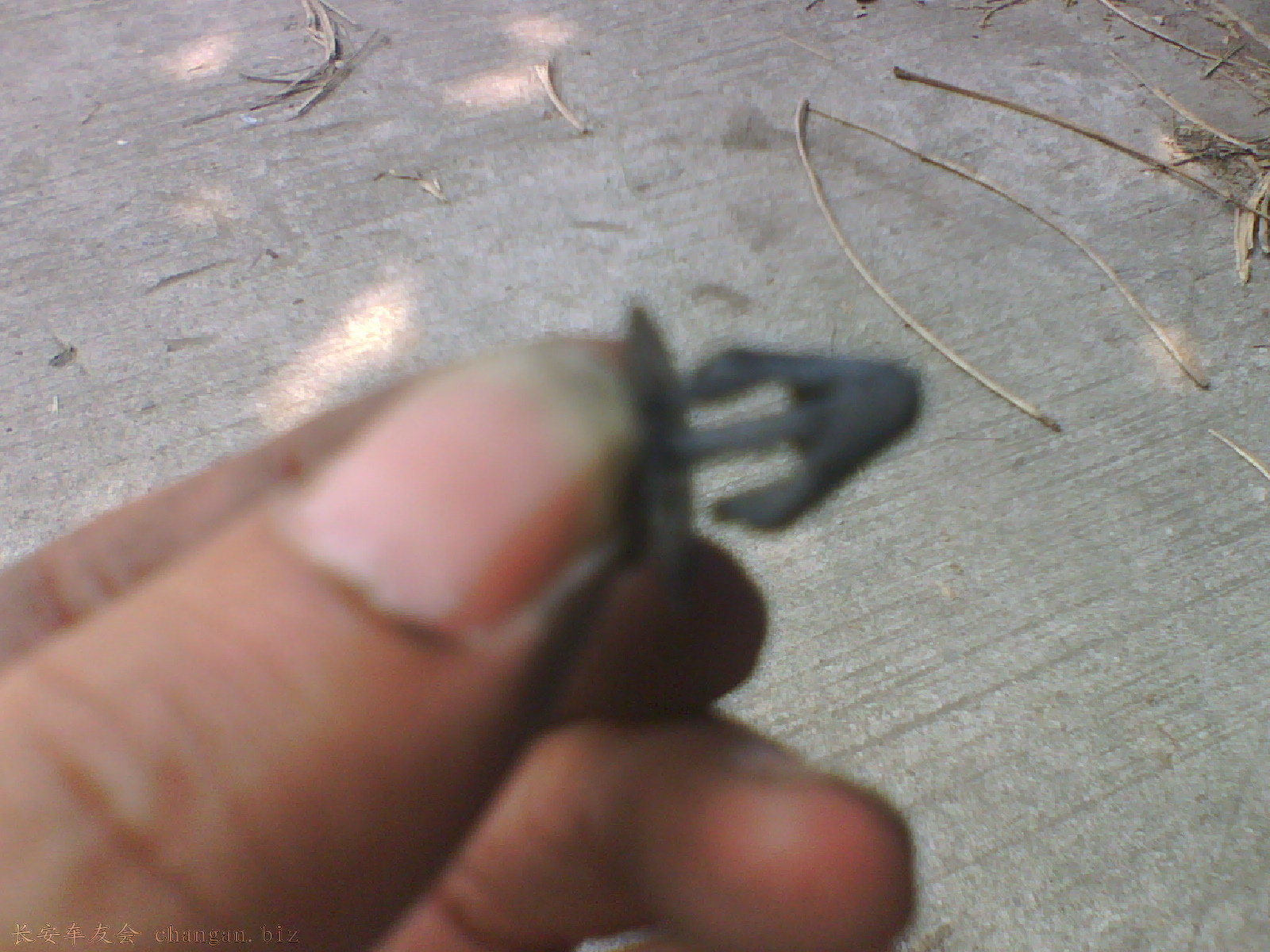 0904_1217311.jpg