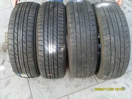 SL373370.JPG