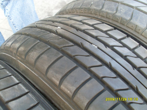 SL373371.JPG