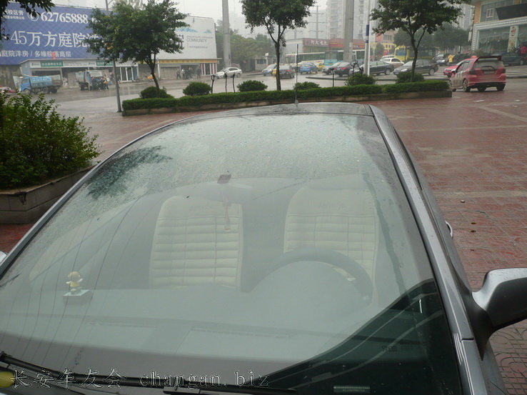 P1050362_С_С.JPG