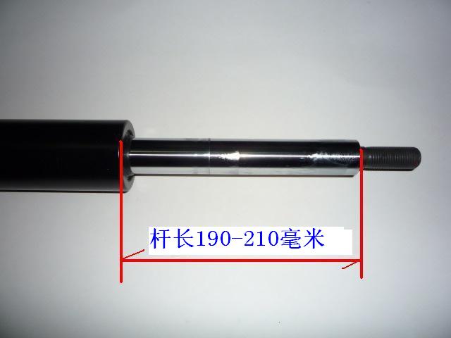 495111.JPG
