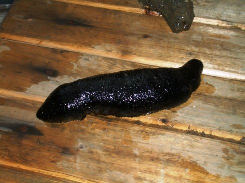 26.jpg