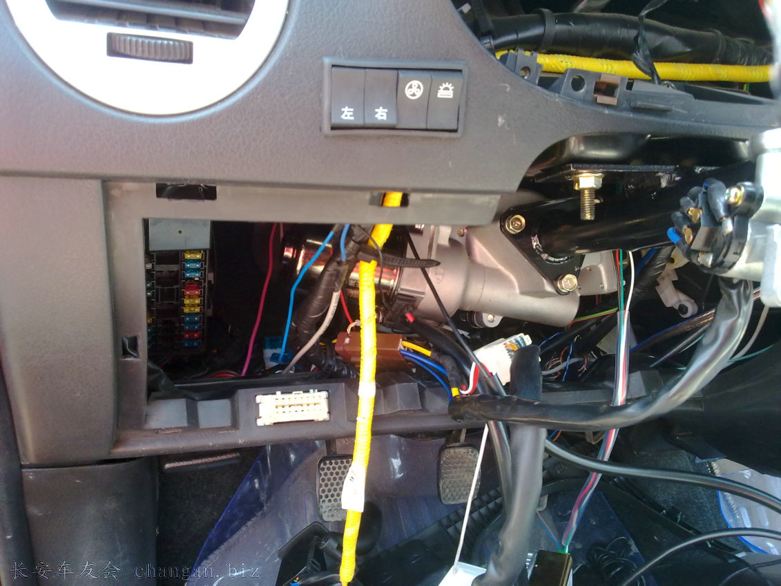 20100312290.jpg