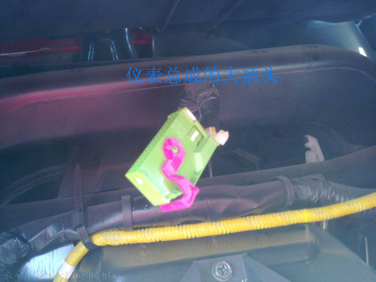20100312288.jpg
