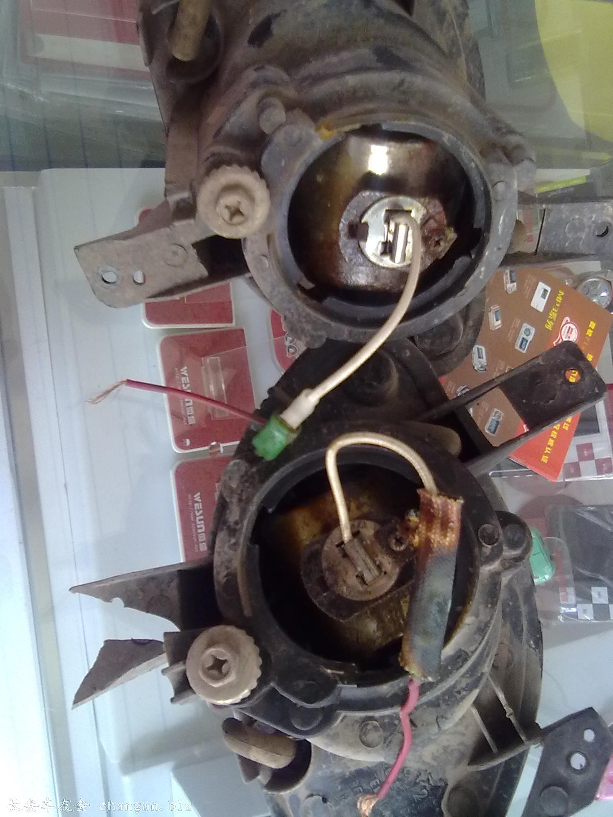 20100522080.jpg