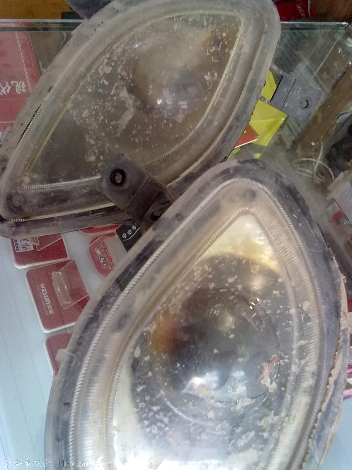 20100522079.jpg