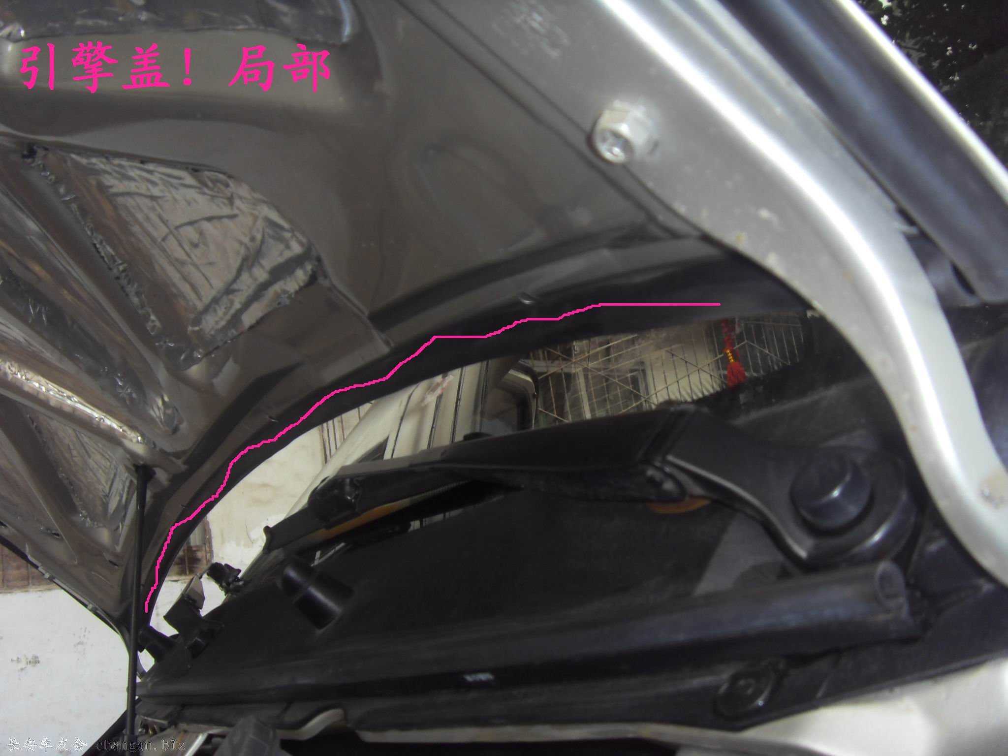 SDC14099.JPG