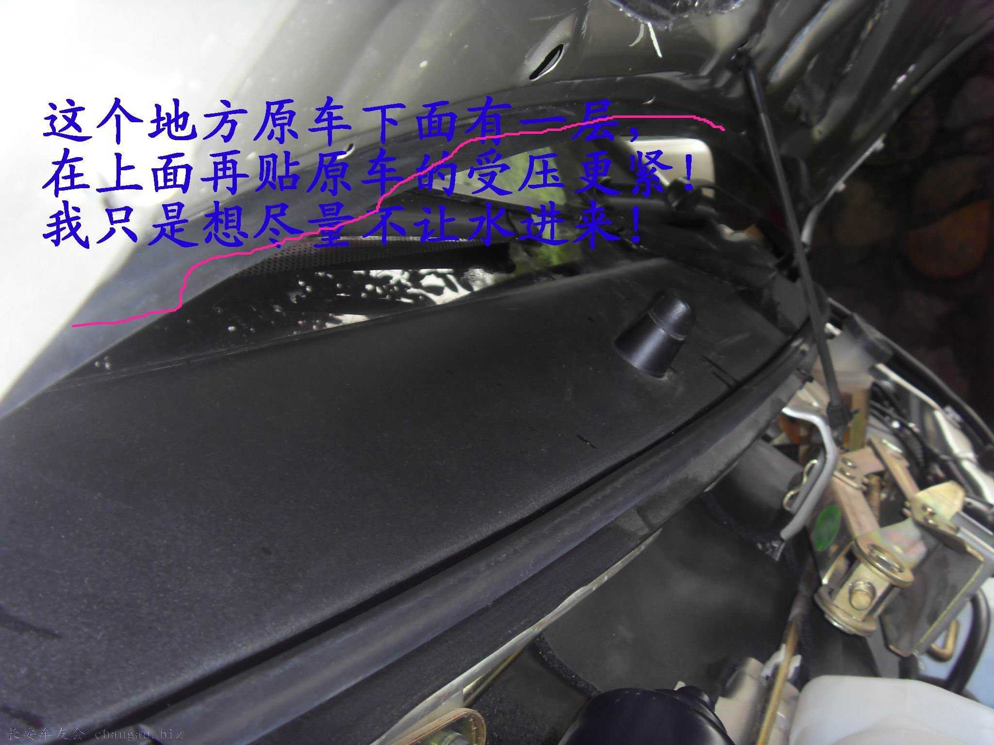 SDC14097.JPG