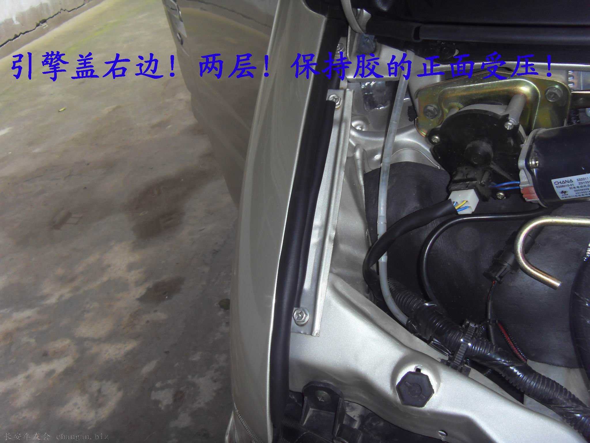 SDC14095.JPG