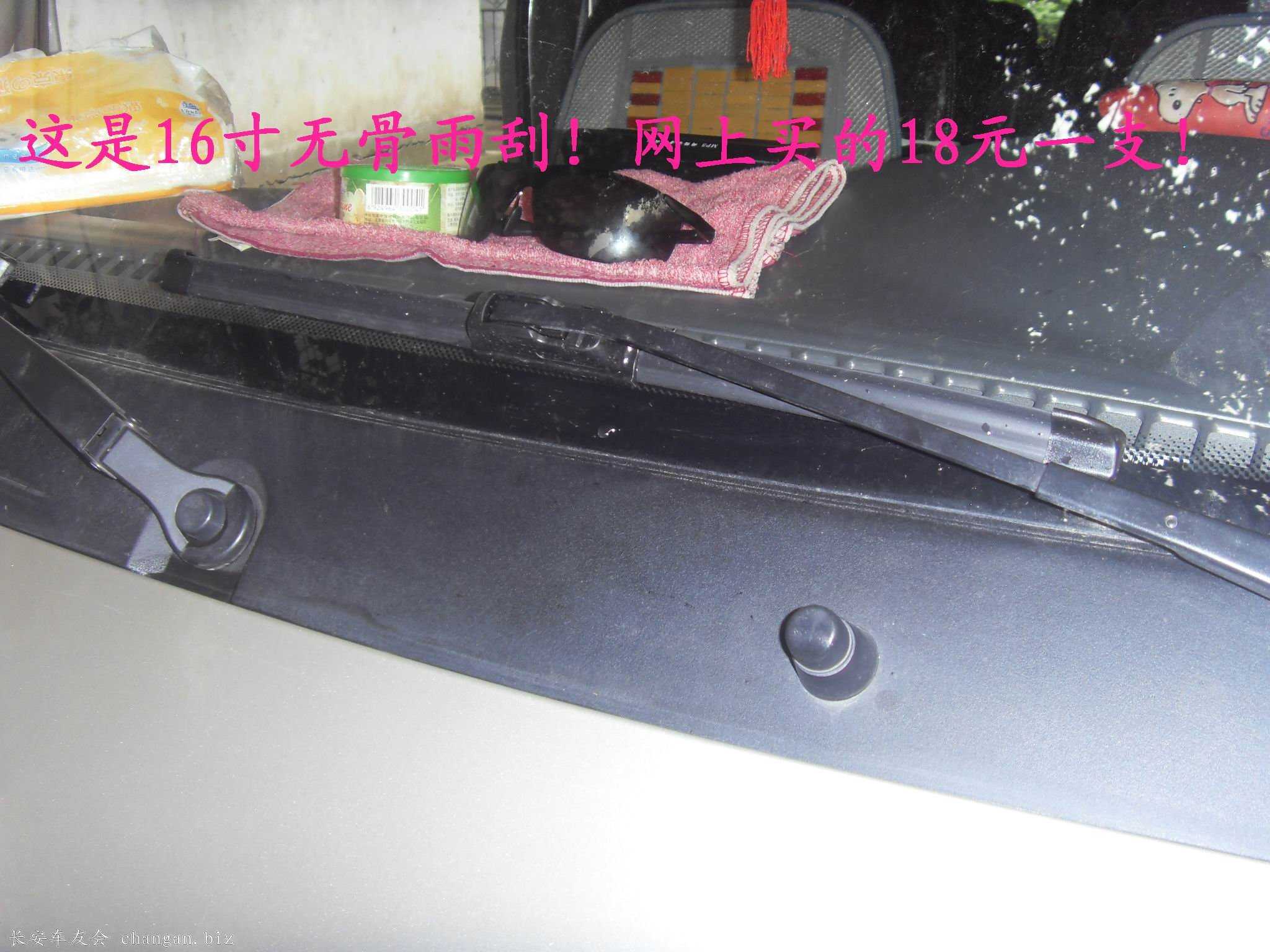 SDC14104.JPG